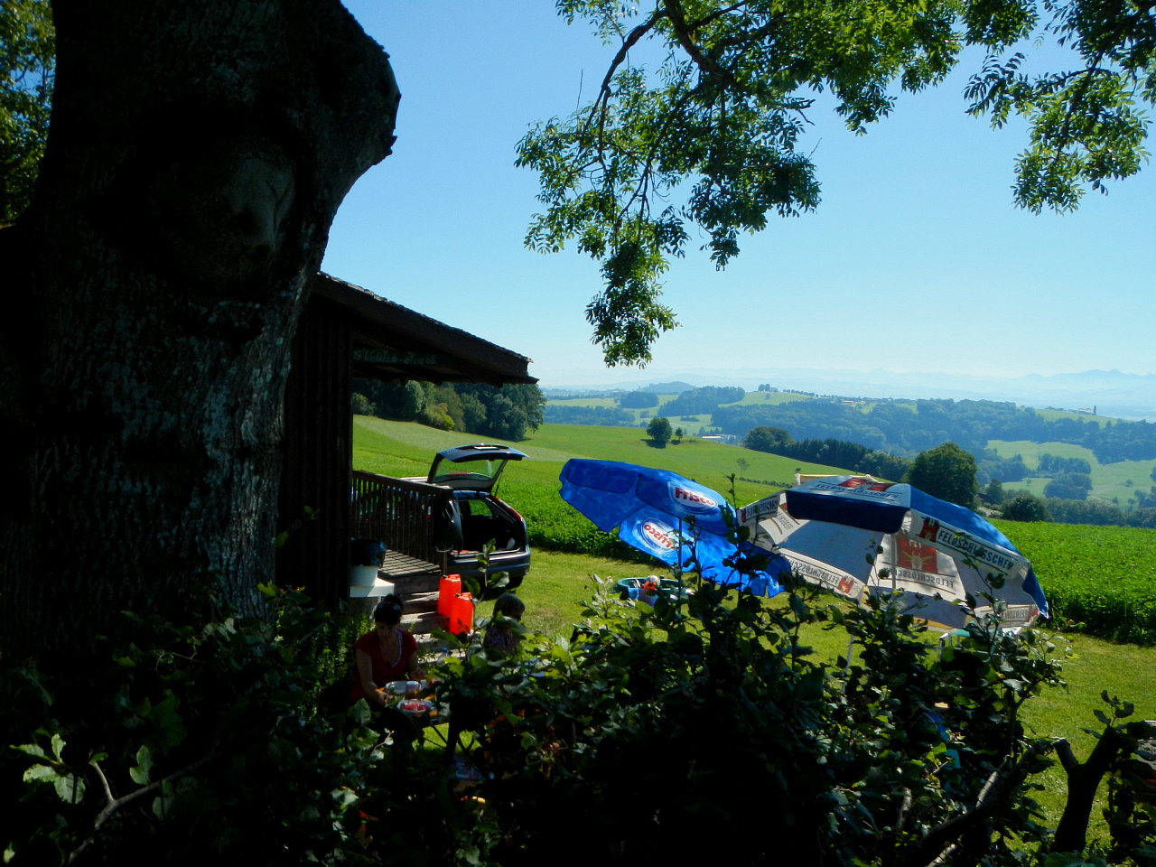 20120819_03_red